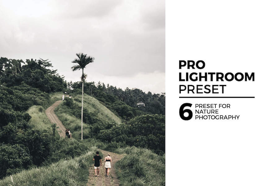 Share bộ 6 Preset Lightroom Nature cho phong cảnh thiên nhiên  (Mobile/Desktop) - Công thức Màu
